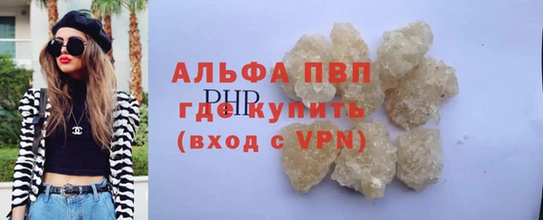дживик Бородино