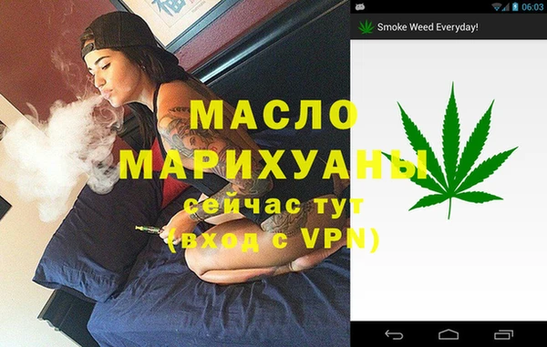 дживик Бородино