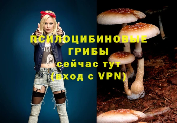 MDMA Богородск