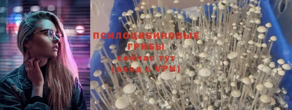 MDMA Богородск