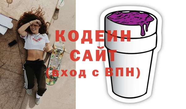 дживик Бородино