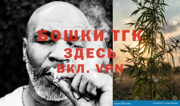 твердый Богородицк